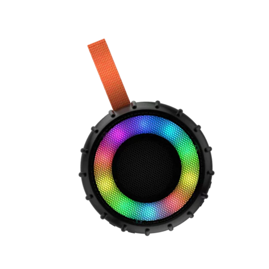 Portable Bluetooth Speaker