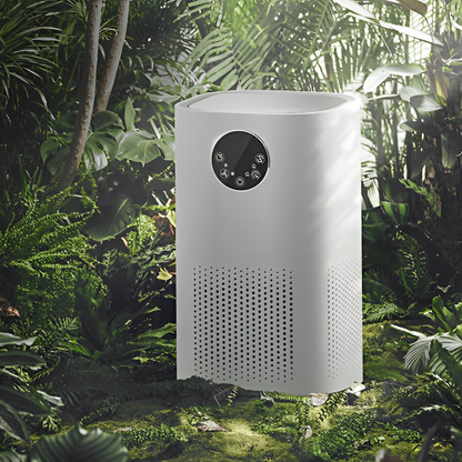 Home Air Purifier